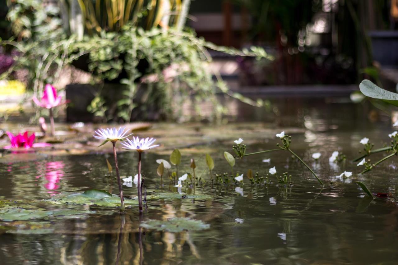 Hidden Padma Retreat Hotell Ubud Eksteriør bilde